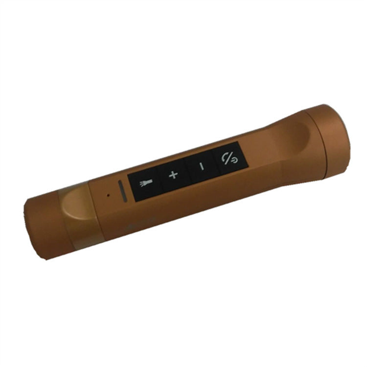 Riding Bluetooth speaker - PryTheory