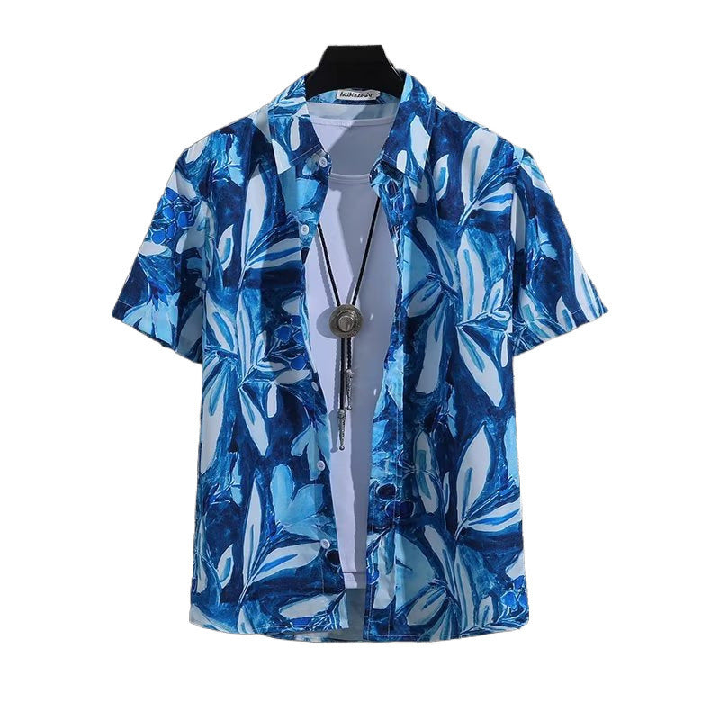 Pacificc Polo - PryTheory
