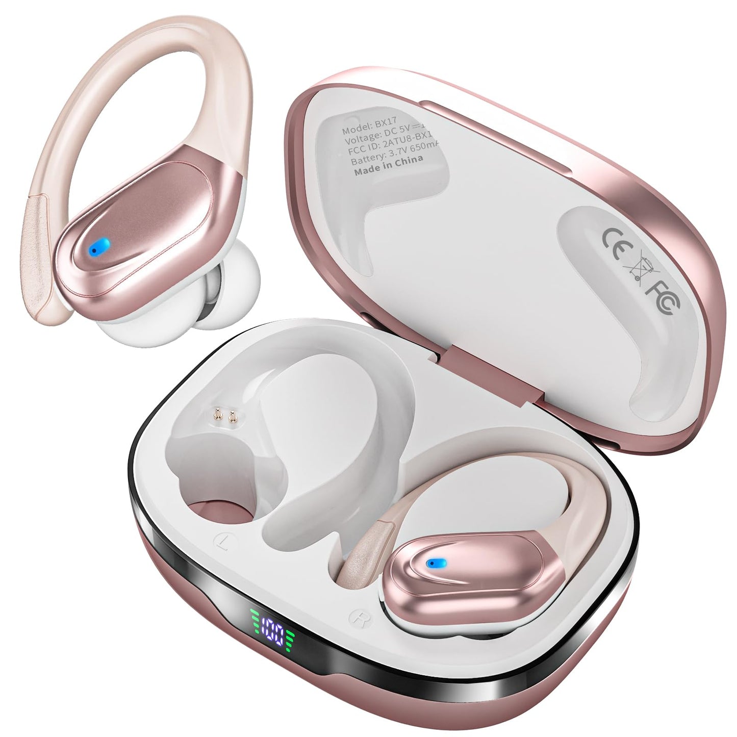 Wireless Earbuds (80Hrs Playtime-PX7 Waterproof).