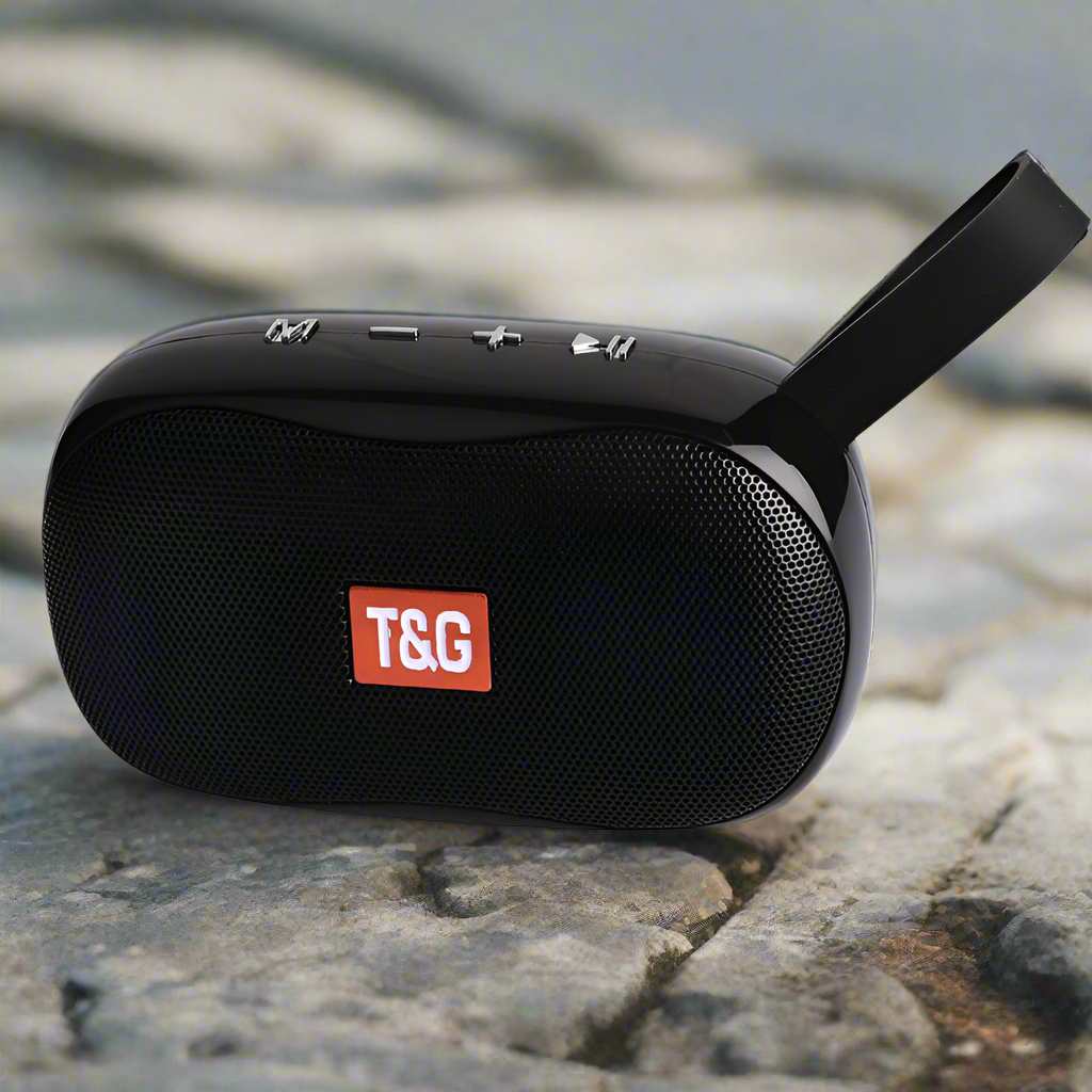 TG173 Bluetooth speaker - PryTheory